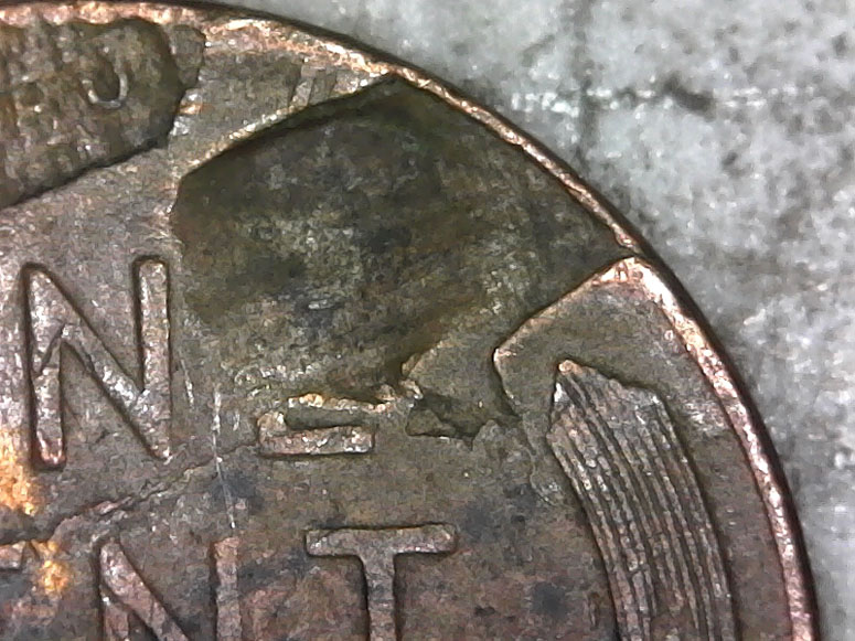 1956-Penny-With-Lamination-Issues?-Help-With-This-Please.